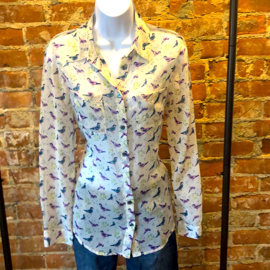 Spring Button Down